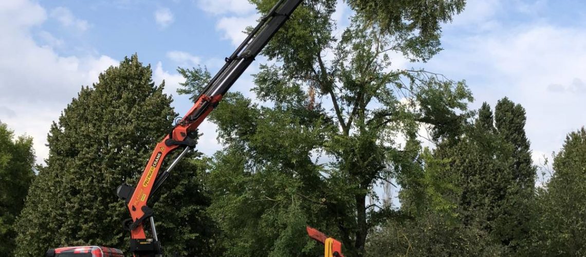 ABATTAGE2 1140X500 | Lev Toit Elagage et abattage d’arbres avec grue de levage en Alsace Colmar