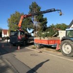 ABATTAGE5 150X150 | Lev Toit Elagage et abattage d’arbres avec grue de levage en Alsace Rixheim 1